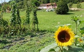 B&b I Boschi Del Castagno